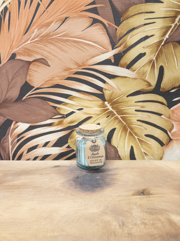 Soy Pot Of Fragance Apple & Cinamon